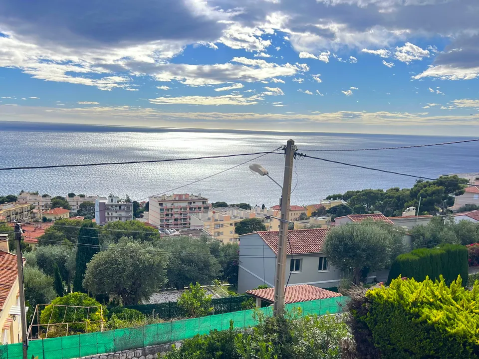 Villa i Cap-d'Ail, Alpes-Maritimes - foto 1